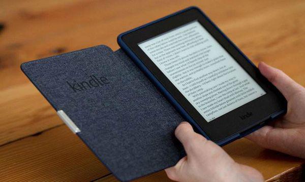 2024正版资料免费公开,数据资料解释定义_Kindle25.999