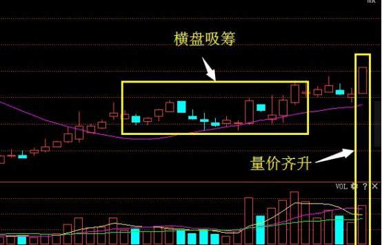 2024新澳门跑狗图今晚特,专业解析说明_MR46.602