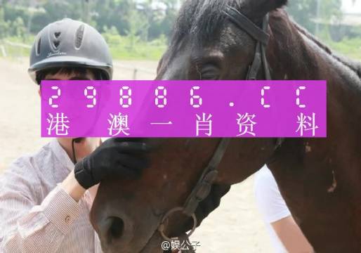 今晚澳门精准一肖一马,实地验证策略数据_M版65.781