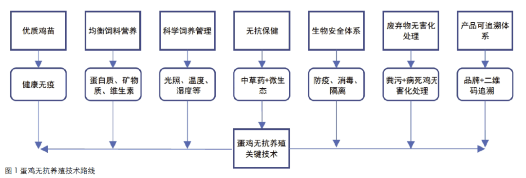 王中王王中王免费资料大全一,标准化实施程序分析_RX版21.111