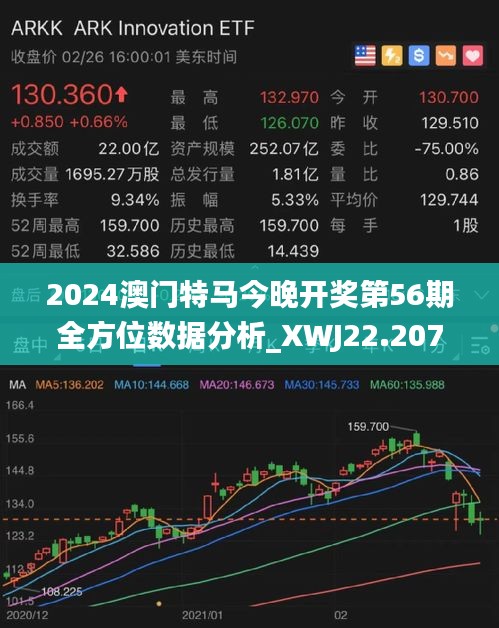 2024今晚澳门开特马开什么,数据整合设计解析_投资版63.477