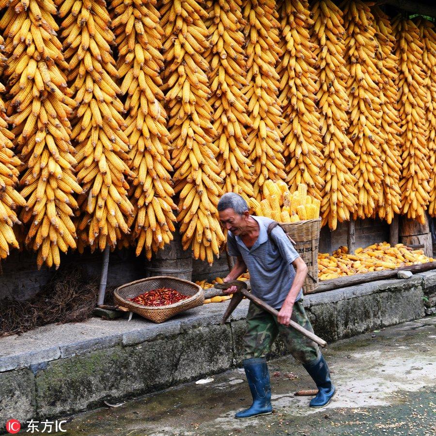 酉阳土家族苗族自治县自然资源和规划局招聘公告发布