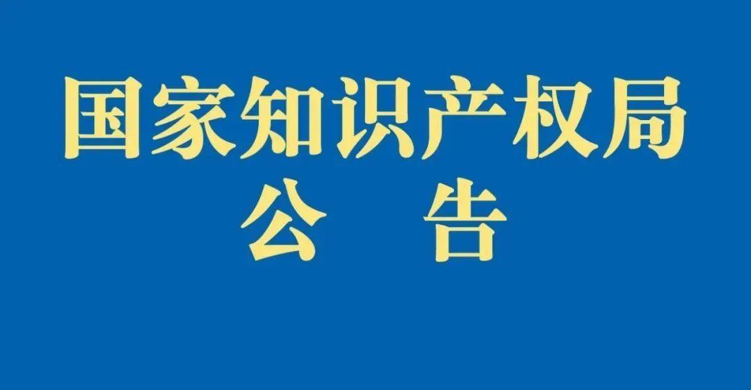 最新专利法的深度解读及其对各方面的影响分析