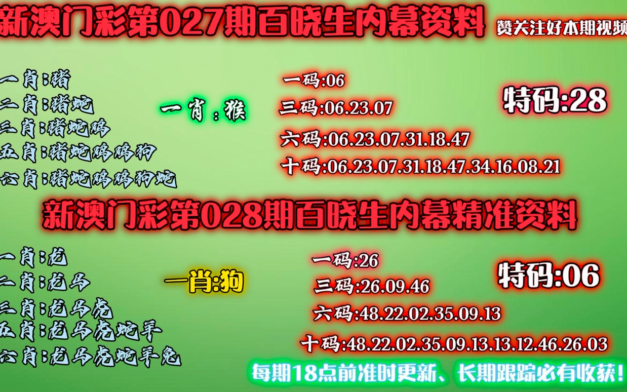 新澳门内部资料精准大全百晓生,实地研究解释定义_XR79.176