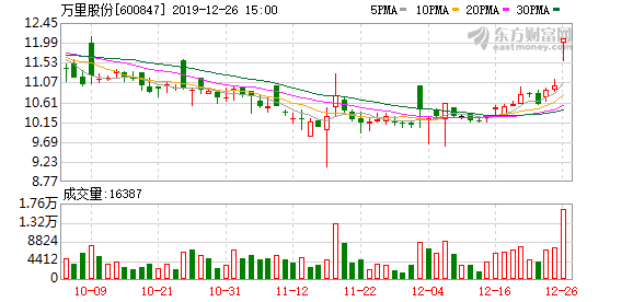 万里股份最新动态全面解读