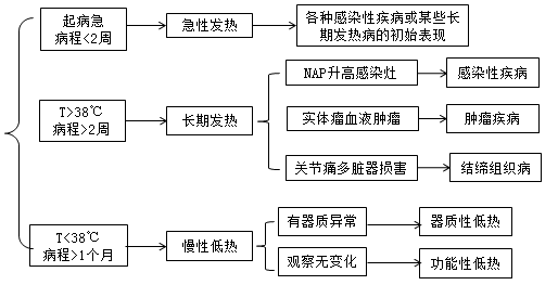 三肖必中三期必出凤凰网昨天,完善的执行机制解析_交互版3.688