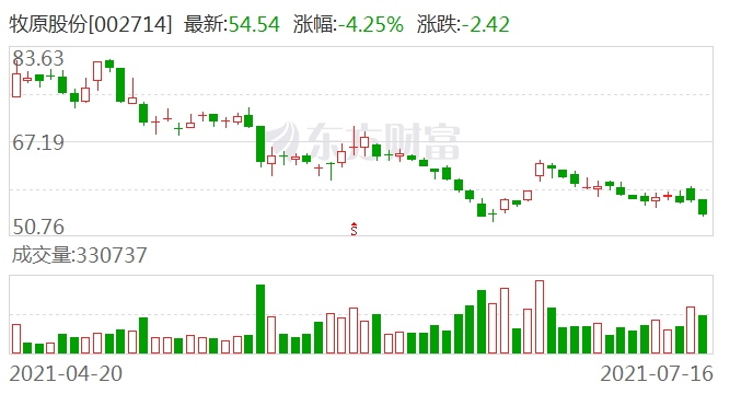 香港开奖结果+开奖记录2000年,灵活解析实施_S60.251