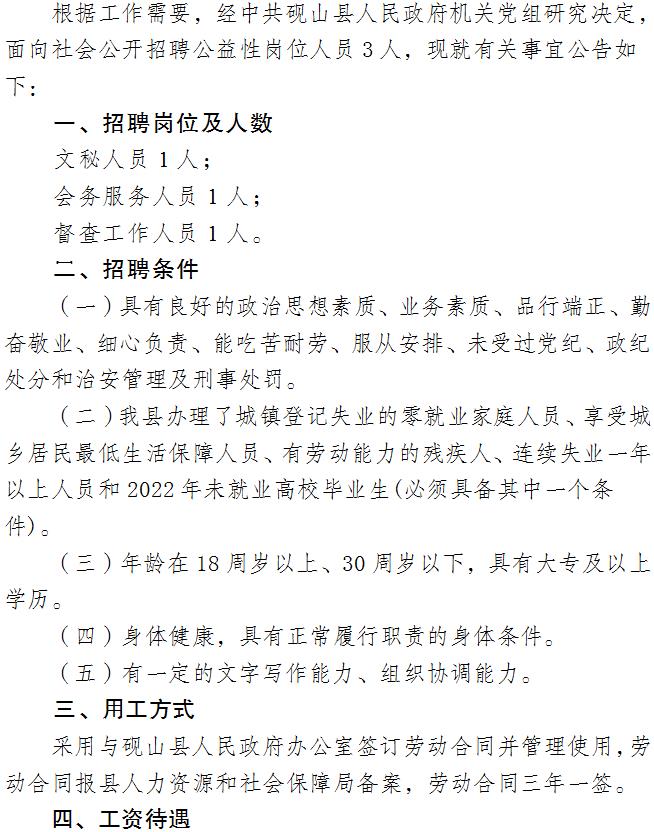 金山屯区人力资源和社会保障局招聘公告详解