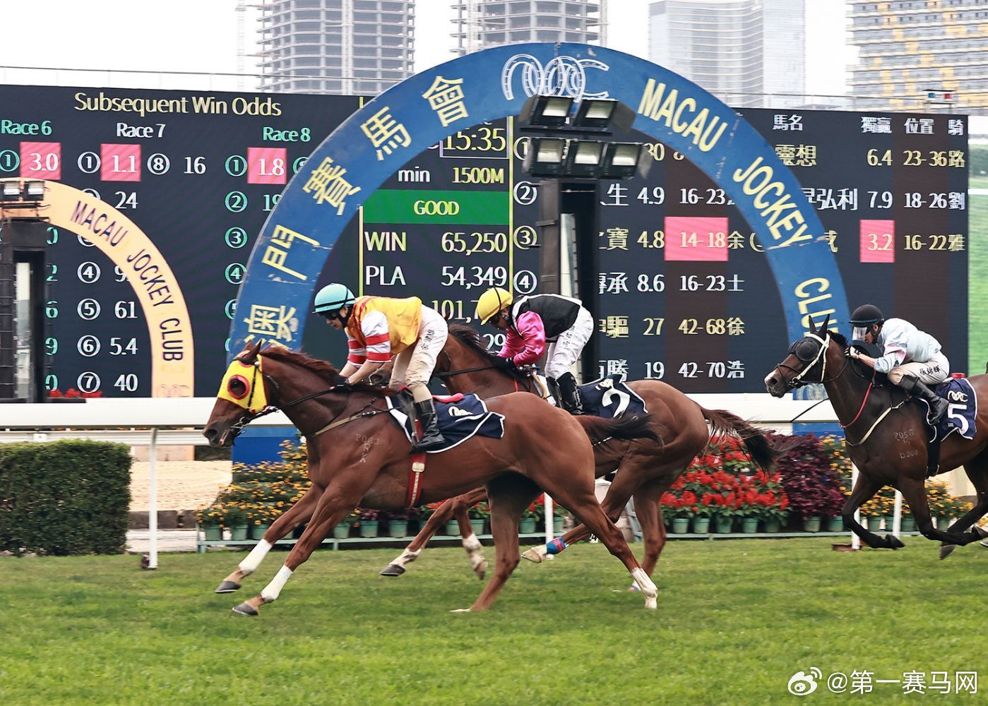 香港特马最正确免费资料,高度协调策略执行_高级款29.518