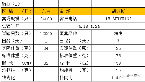 2024新澳今晚资料鸡号几号,实证解读说明_BT51.627