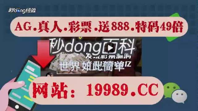 2024澳门天天六开好彩,广泛的关注解释落实热议_DP94.96