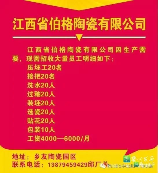 黎川县统计局最新招聘启事概览