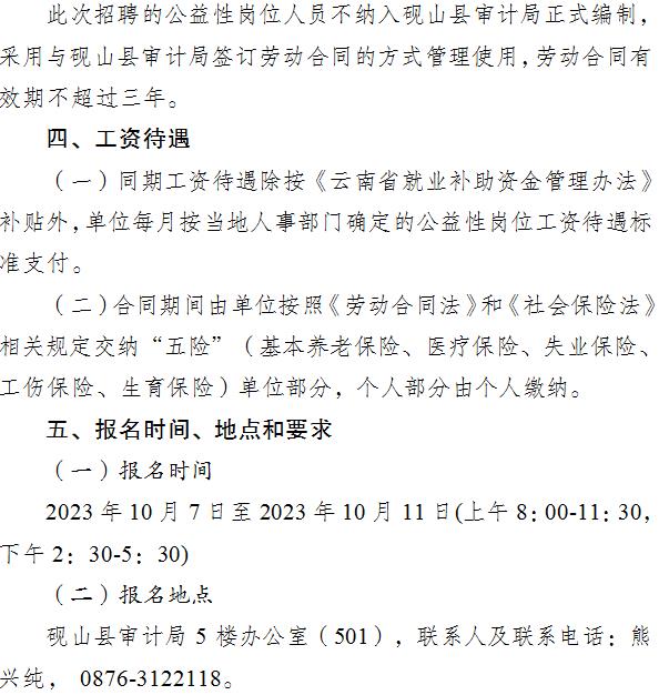 隆阳区审计局招聘信息全解析，岗位、要求与待遇一网打尽！