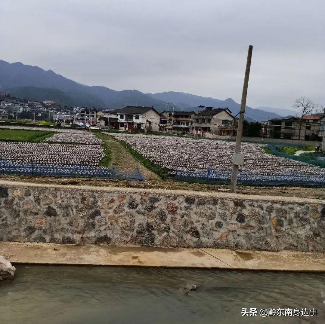 黄平县科技局人事任命动态与未来展望