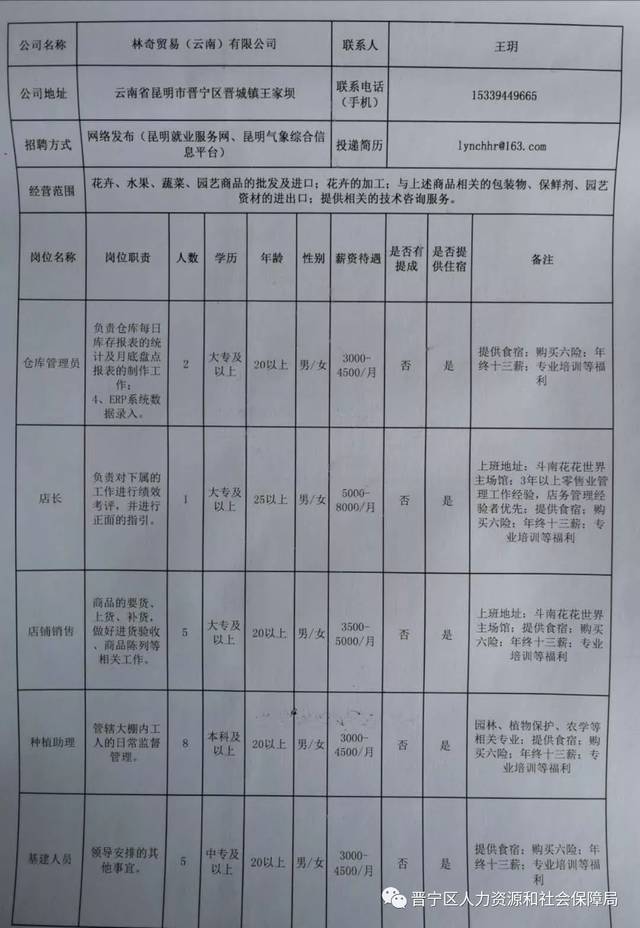 西山区统计局最新招聘信息概览