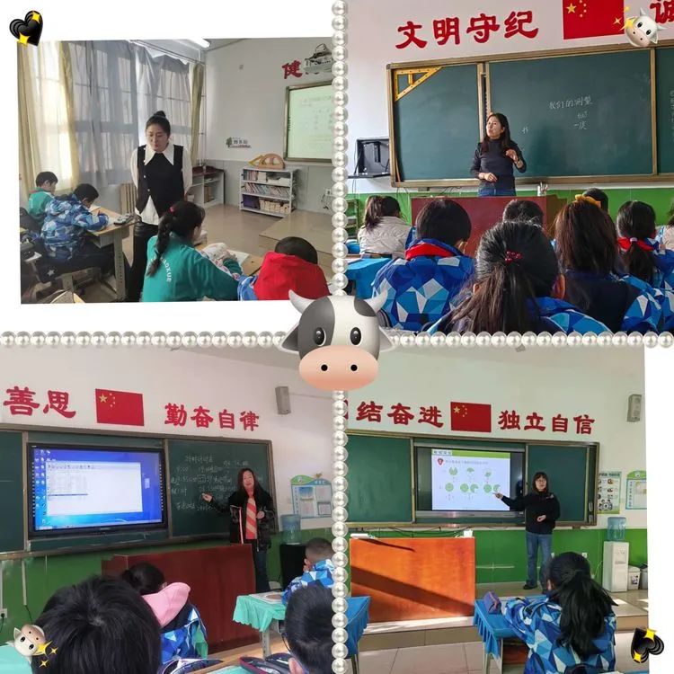 双滦区小学最新动态报道