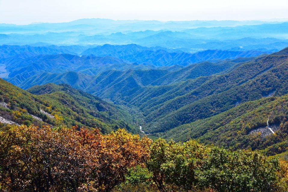 青龙满族自治县数据和政务服务局领导介绍最新资讯