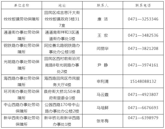 回民区文化广电体育和旅游局招聘启事概览