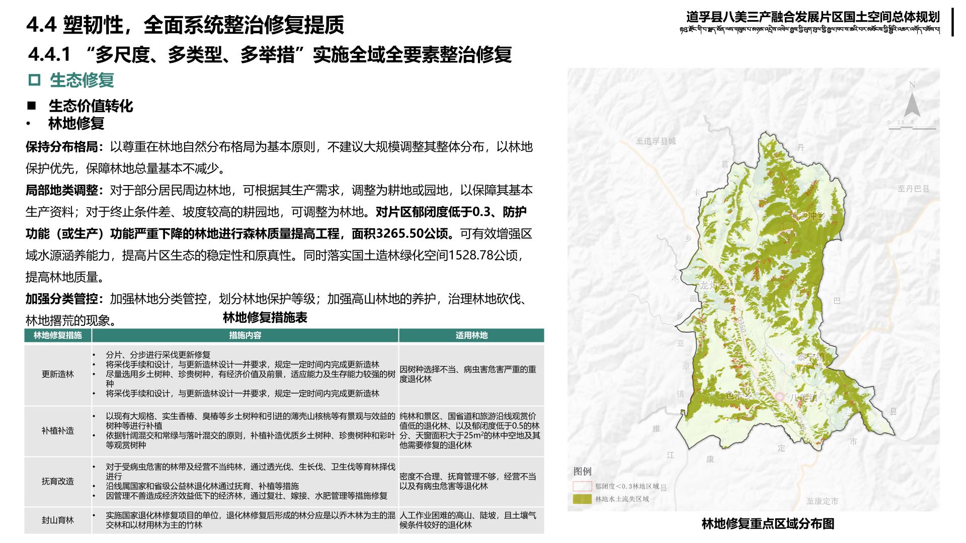 漾濞彝族自治县文化局最新发展规划概览