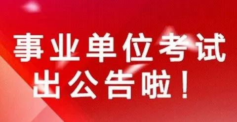 漳县审计局最新招聘公告概览