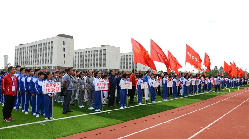 桐城市初中最新动态报道