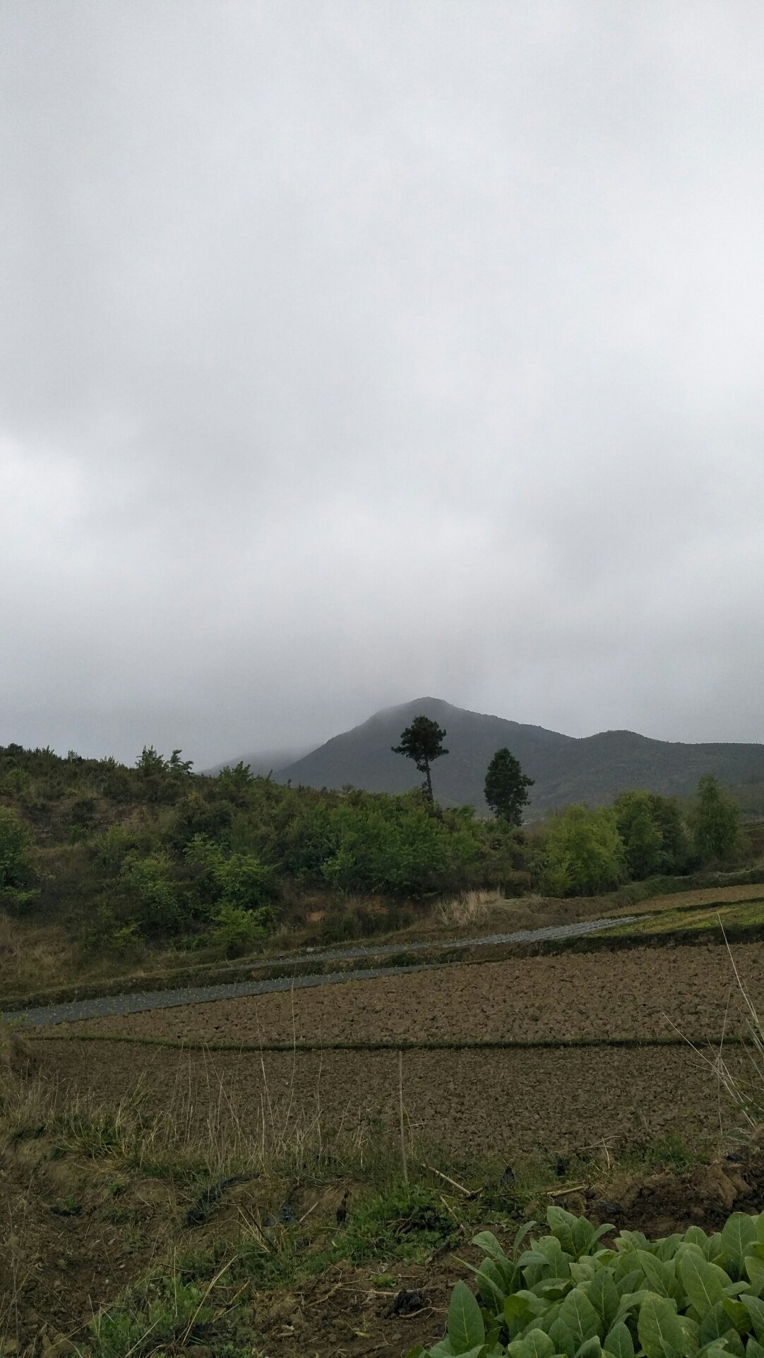 佳阳乡天气预报更新通知