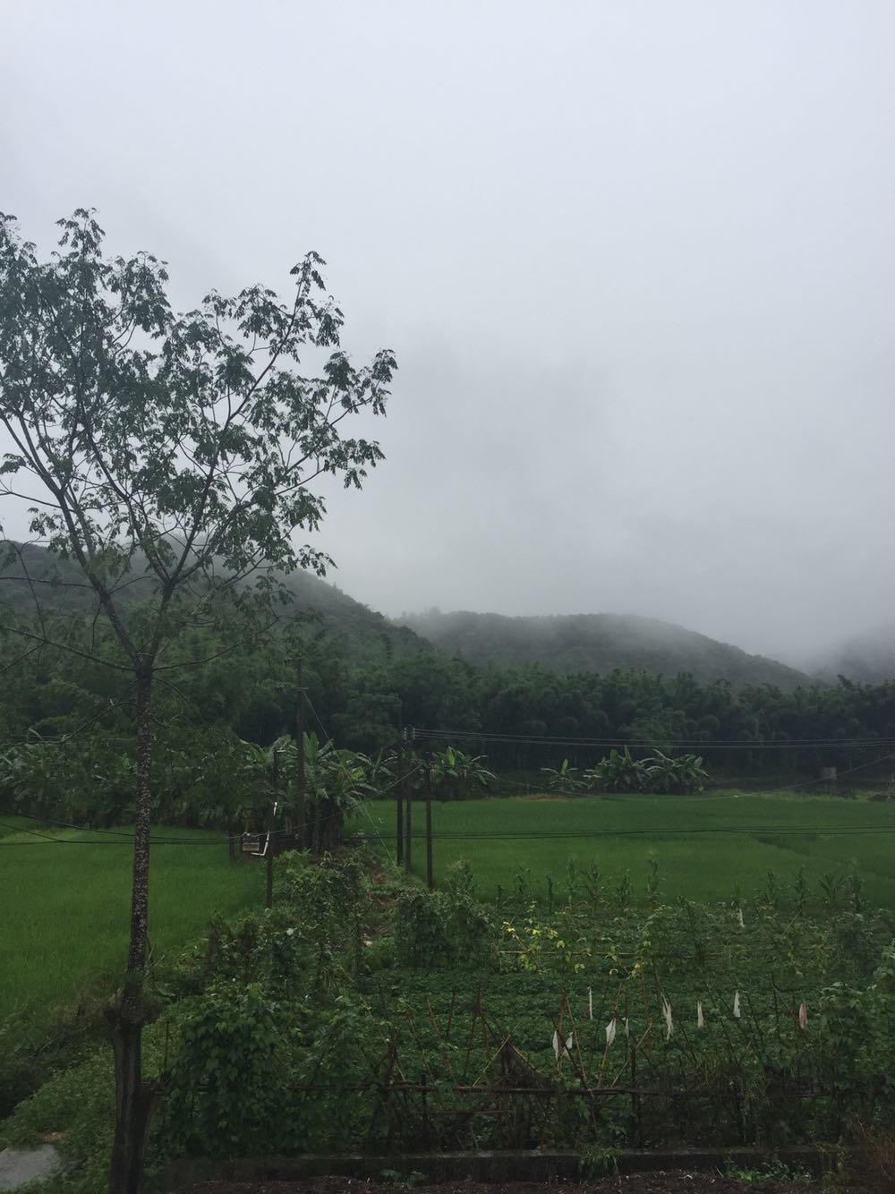 波木村今日及未来天气预报