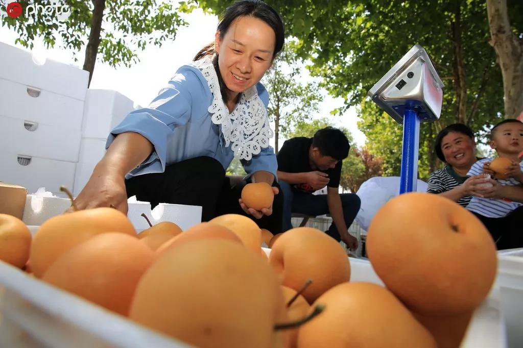 淮北市统计局最新项目推动数据科学前沿探索，助力统计现代化进程