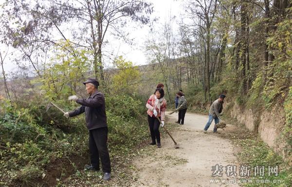 巷口村委会发展规划概览