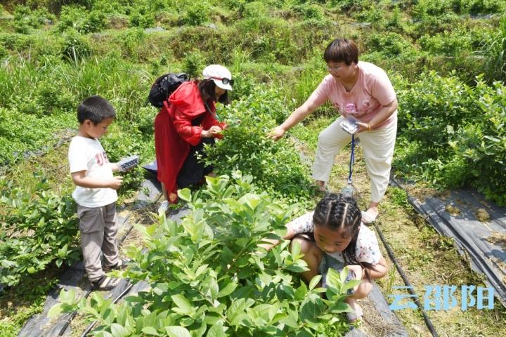 2025年2月9日 第2页