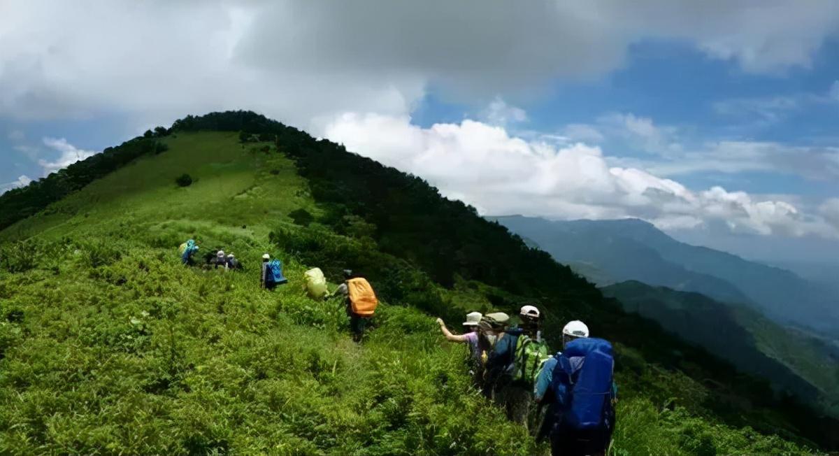 高山镇交通新动态，发展助力地方繁荣