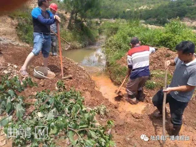 坝塘镇交通新闻，现代化交通网络构建步伐加快