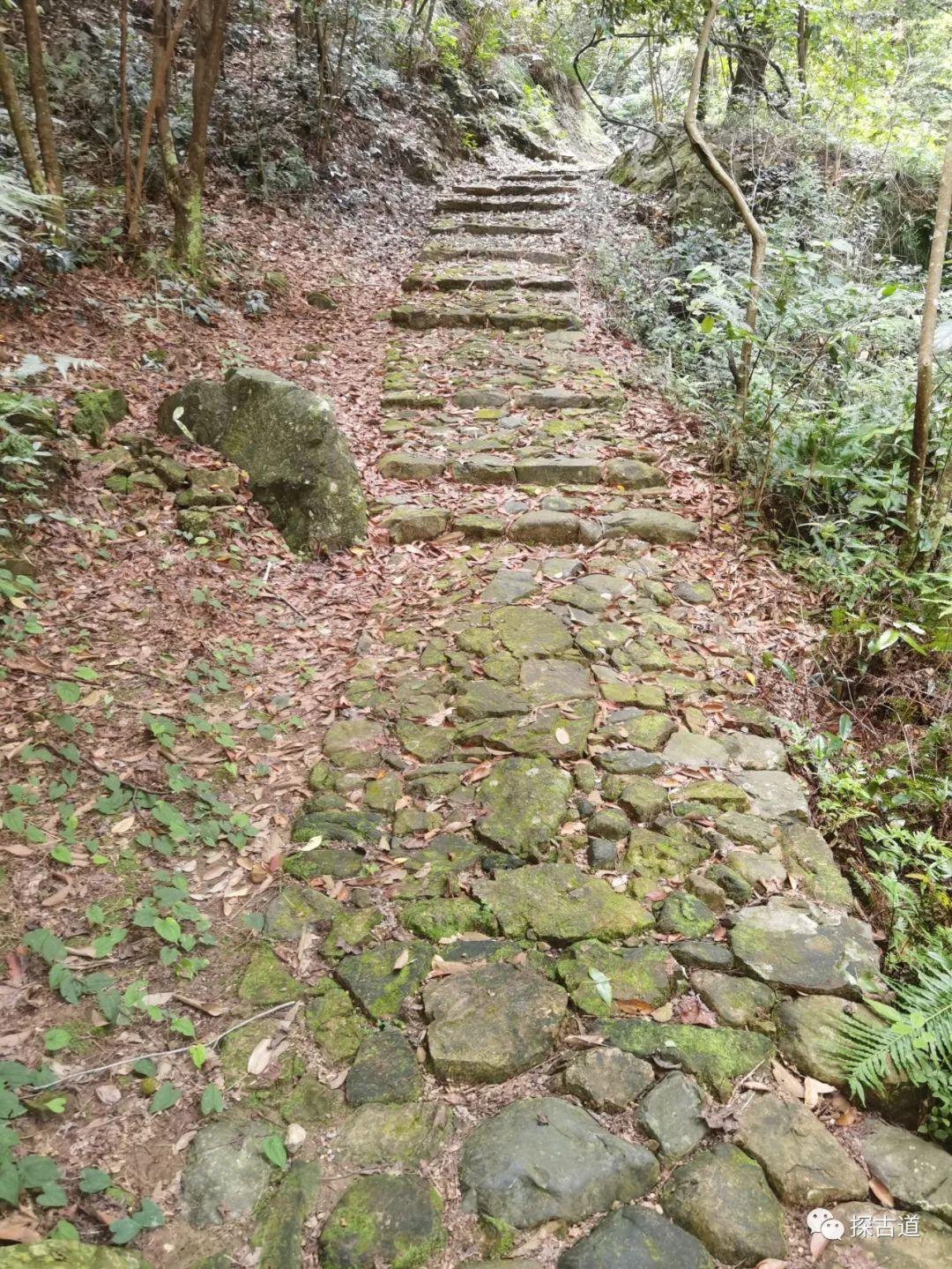 巨口乡未来乡村新蓝图发展规划揭秘